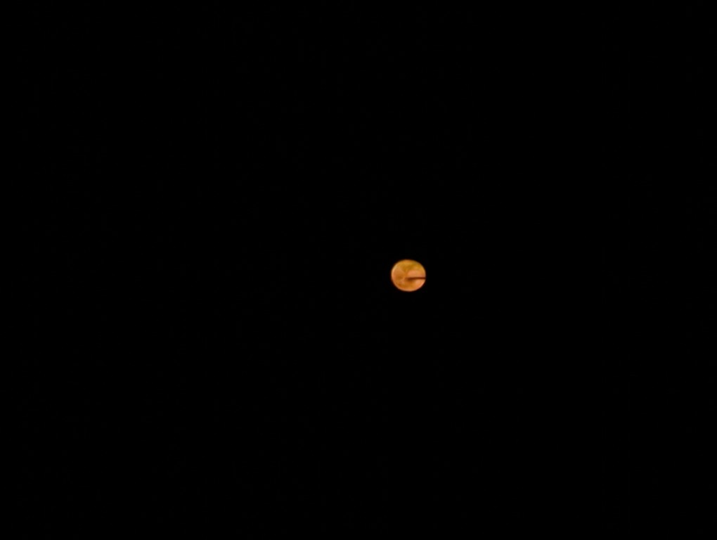 a small-looking red dot, it is the moon. a small cloud or branch is hiding part of it
